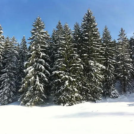 Alpenvilla Garni Отель