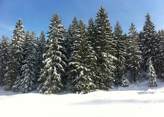 Alpenvilla Garni Hotel